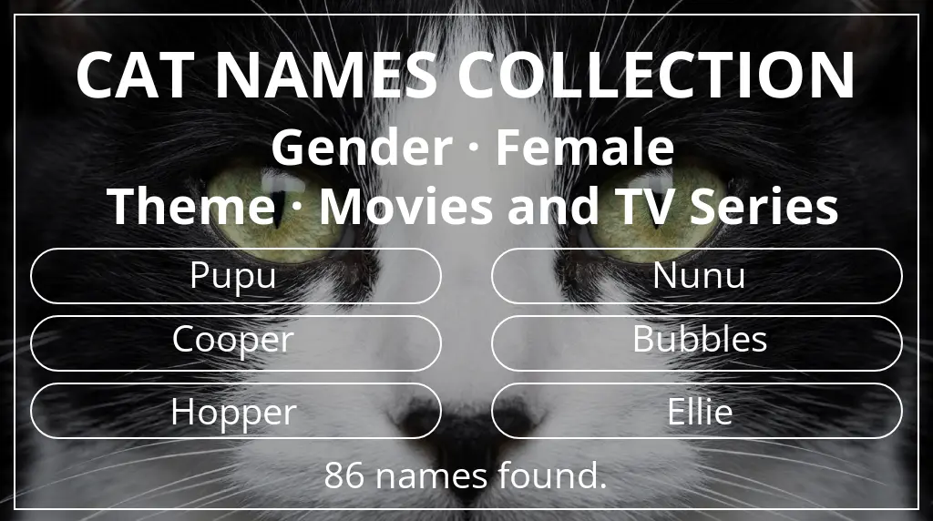 Feline names inspired by female gender and movies and tv series theme