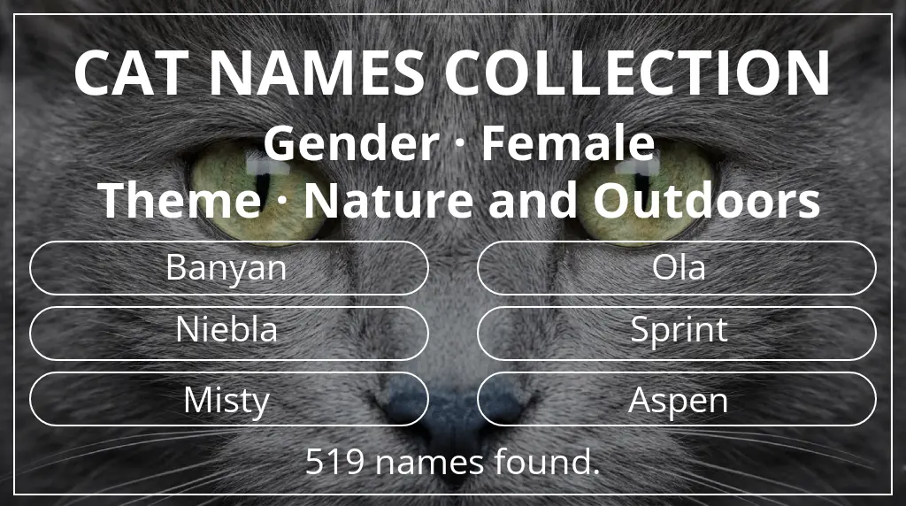 Cat names inspired by female gender and nature and outdoors theme
