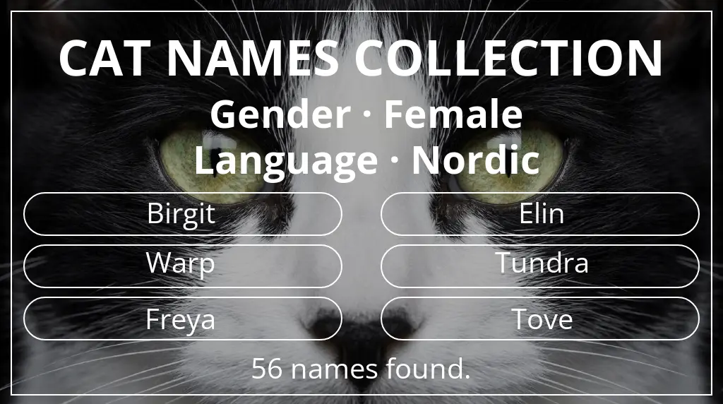 Names for cats inspired by female gender and nordic language