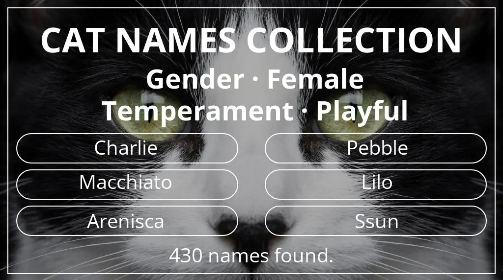 Cat names based on female gender and playful temperament