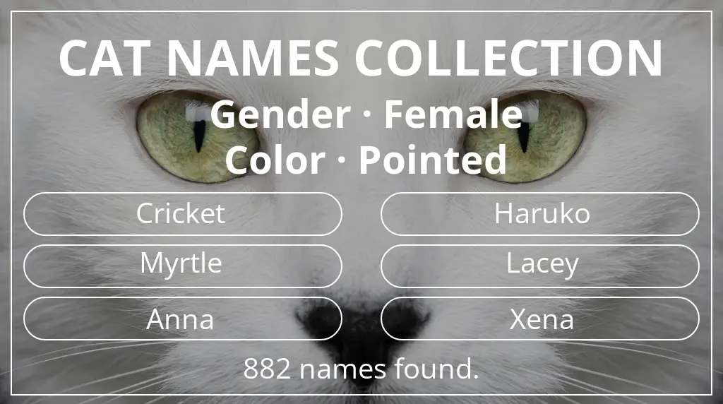 Cat names based on female gender and pointed color