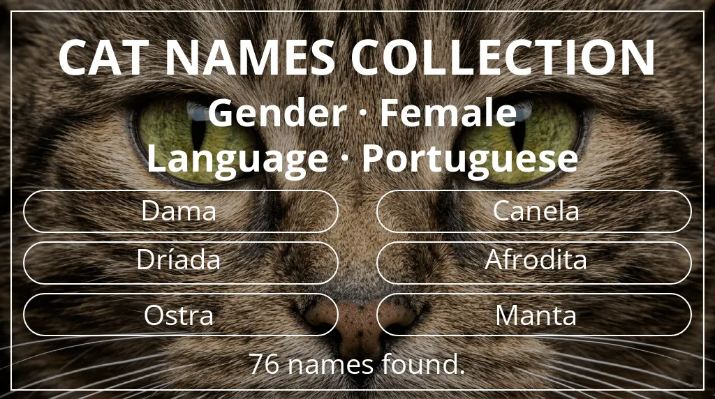 Feline names inspired by female gender and portuguese language