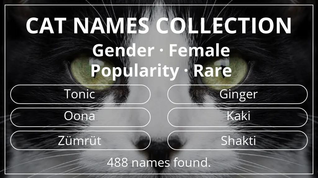 Feline names inspired by female gender and rare popularity