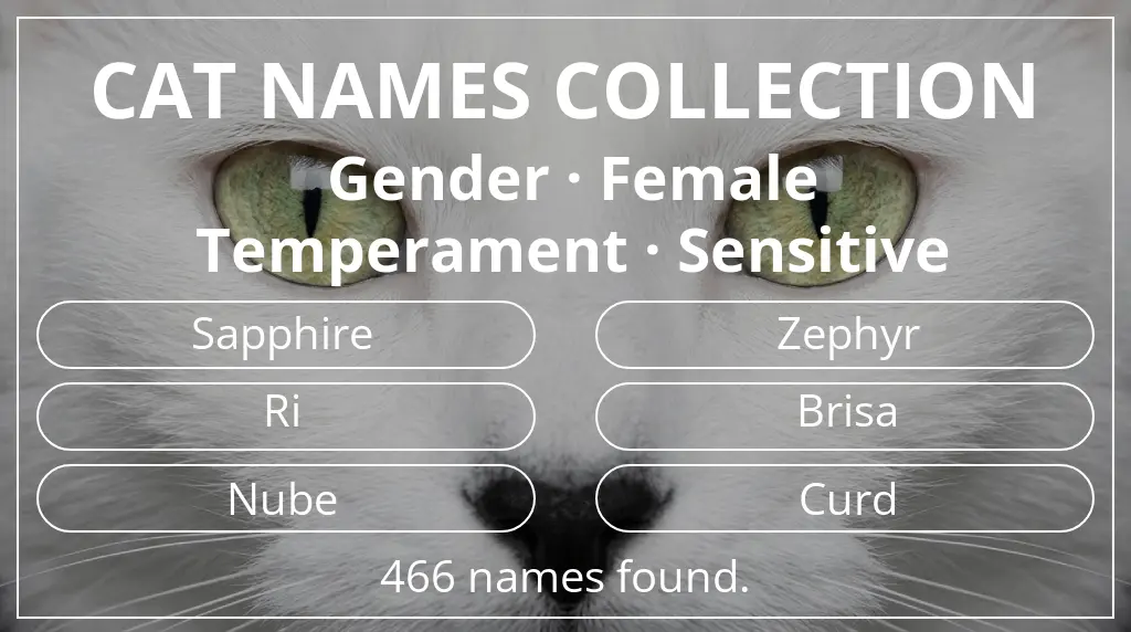 Names for cats based on female gender and sensitive temperament