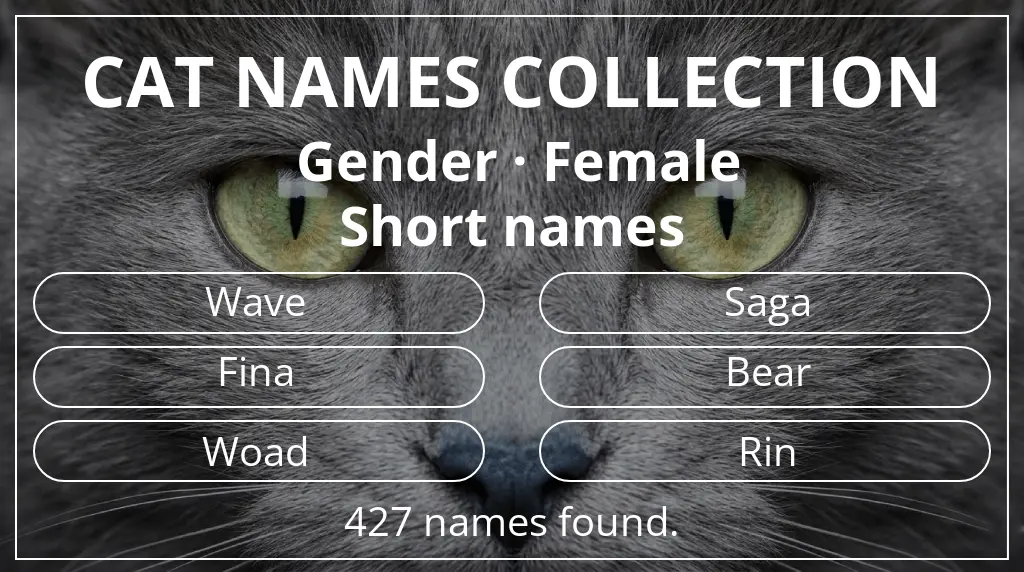 Feline names related to female gender and short (2–4) name length