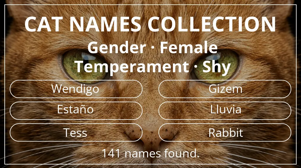 Names for cats inspired by female gender and shy temperament