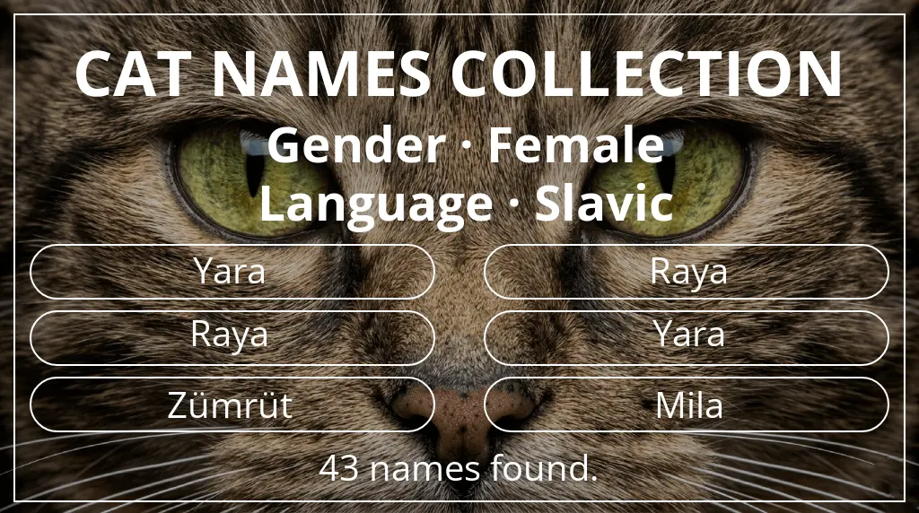 Feline names related to female gender and slavic language
