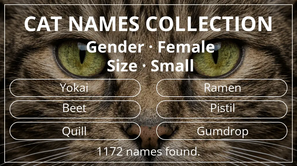 Feline names inspired by female gender and small size