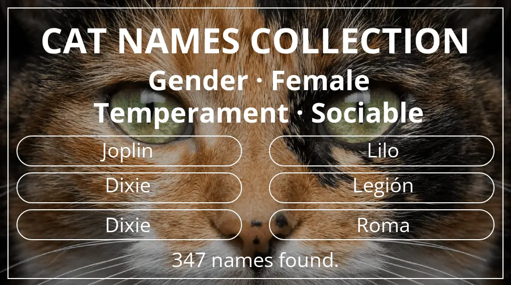Cat names based on female gender and sociable temperament