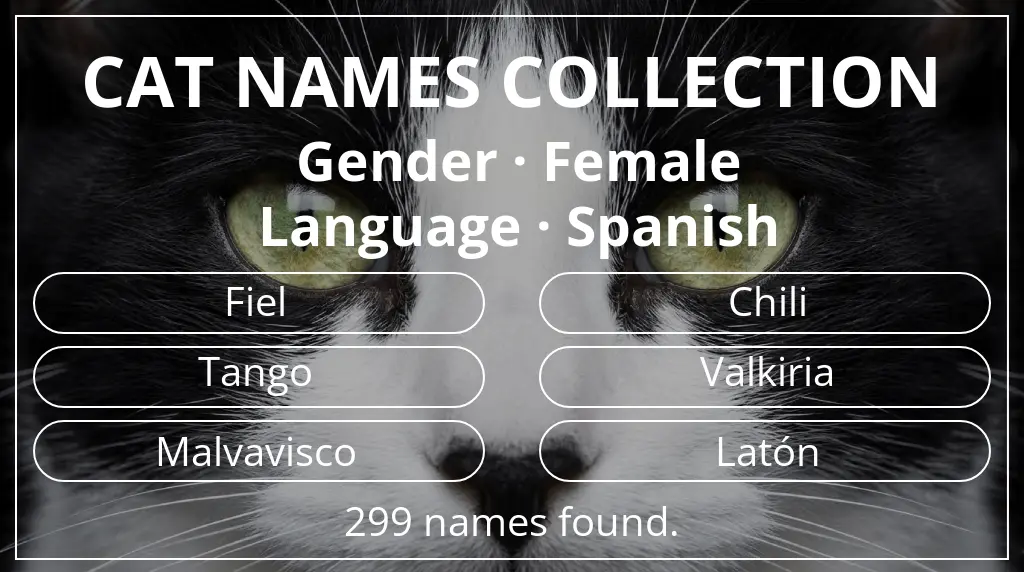 Cat names based on female gender and spanish language