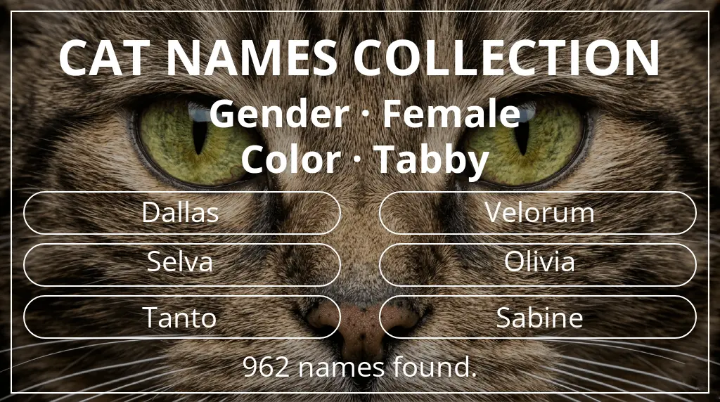 Cat names based on female gender and tabby color