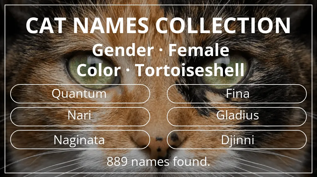Names for cats inspired by female gender and tortoiseshell color
