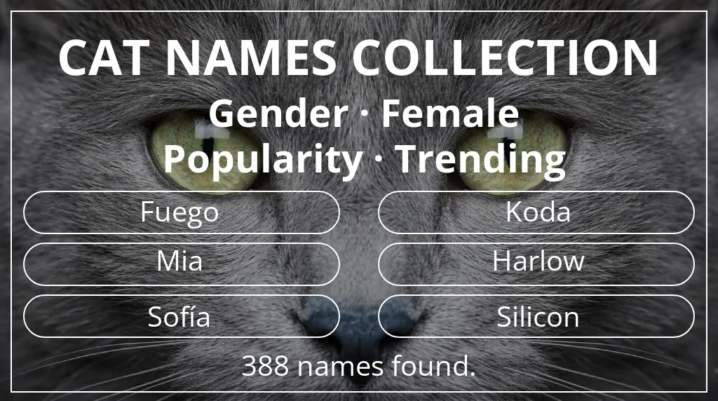 Cat names related to female gender and trending popularity