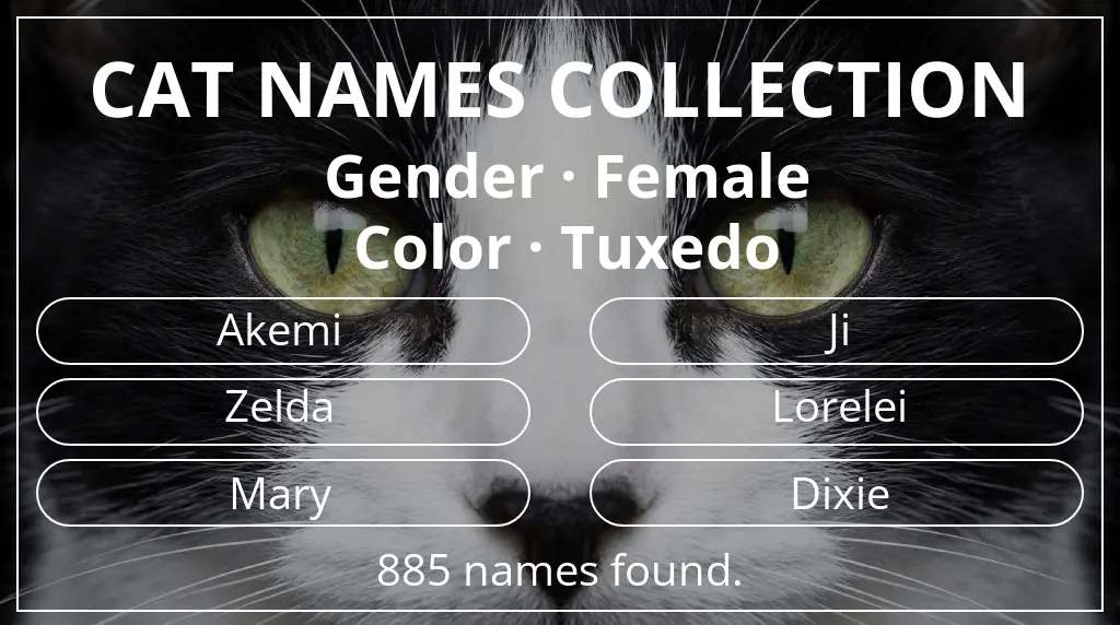 Feline names based on female gender and tuxedo color