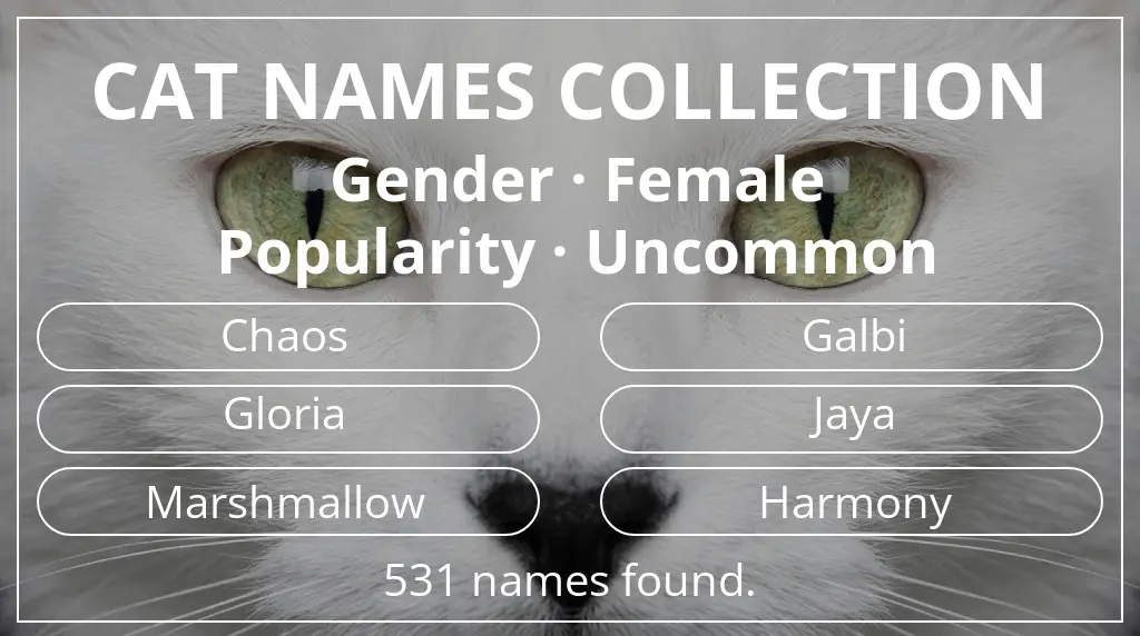 Cat names inspired by female gender and uncommon popularity