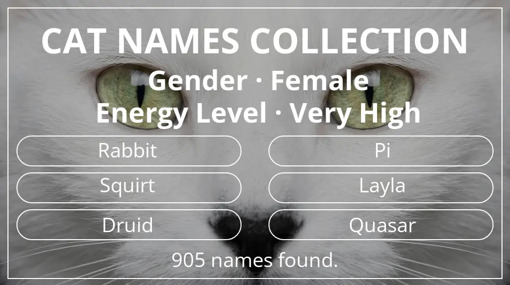 Feline names inspired by female gender and very high energy level