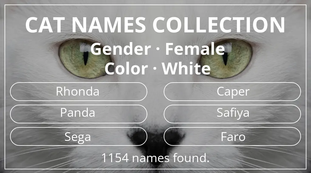 Cat names related to female gender and white color
