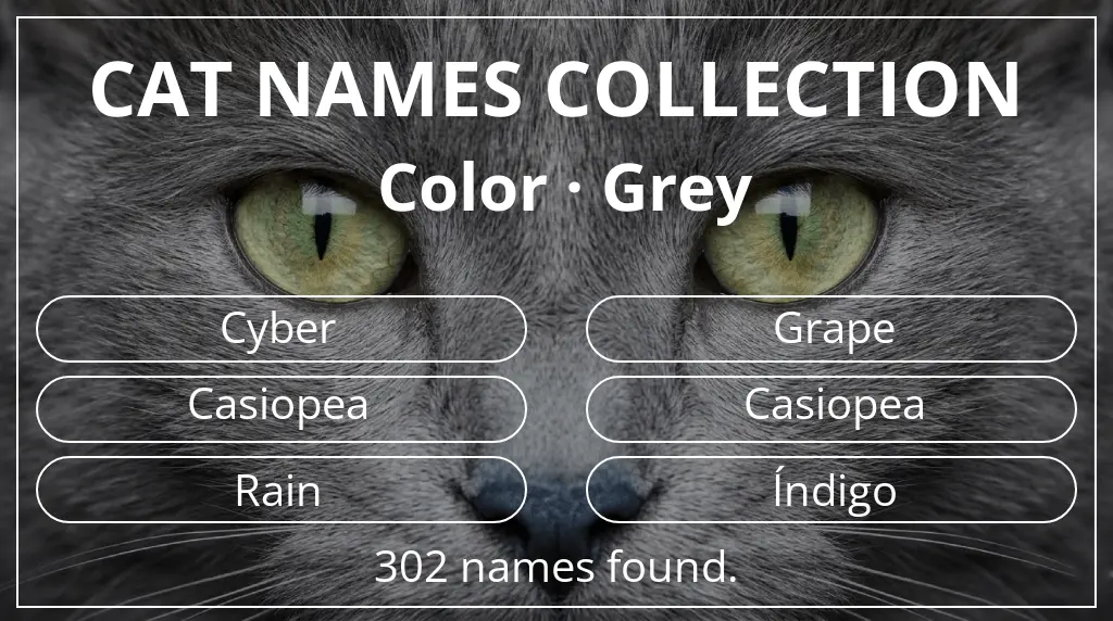 Names for cats related to grey color