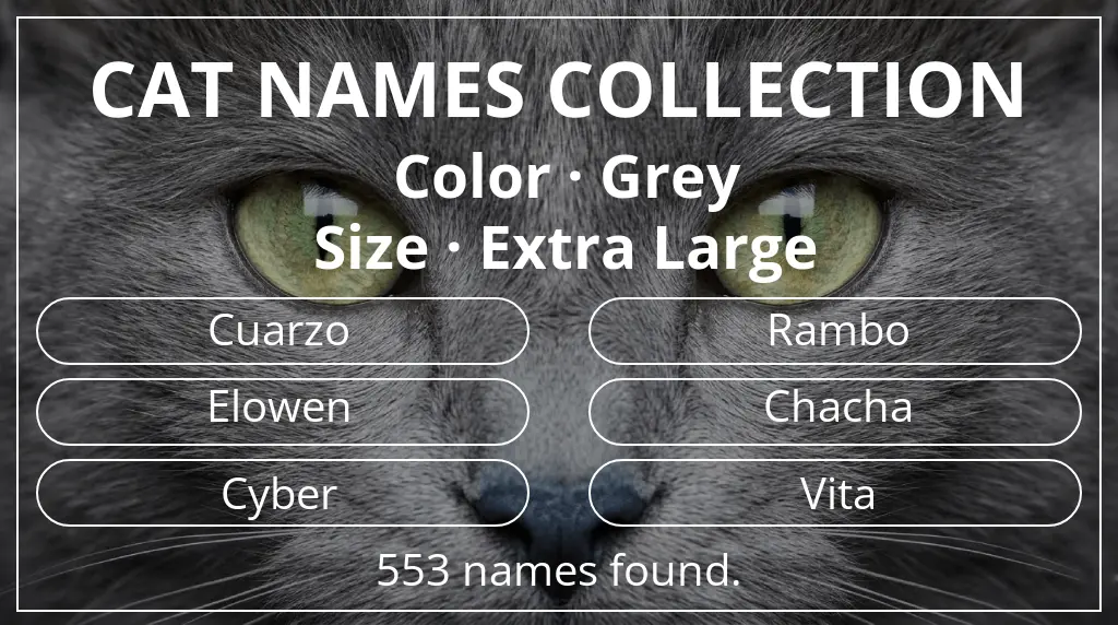 Feline names based on grey color and extra large size