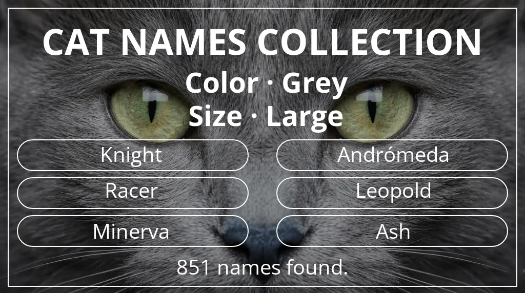 Names for cats related to grey color and large size