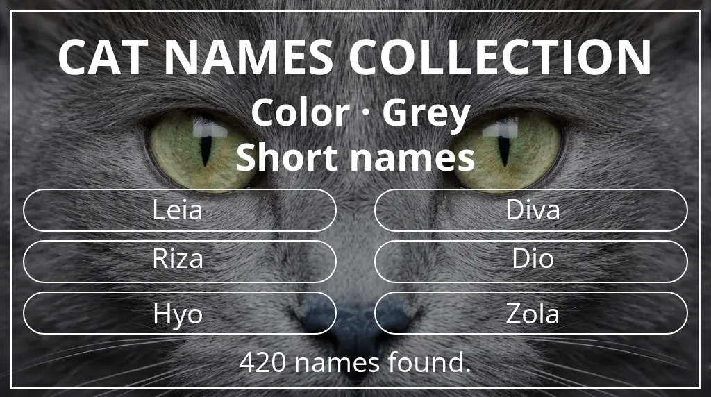 Feline names based on grey color and short (2–4) name length