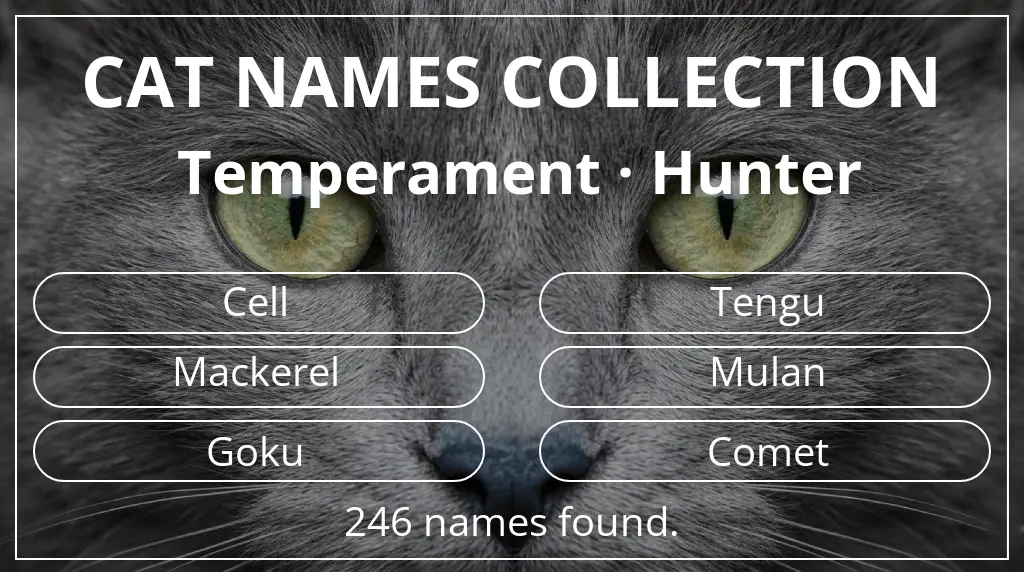 Cat names inspired by hunter temperament