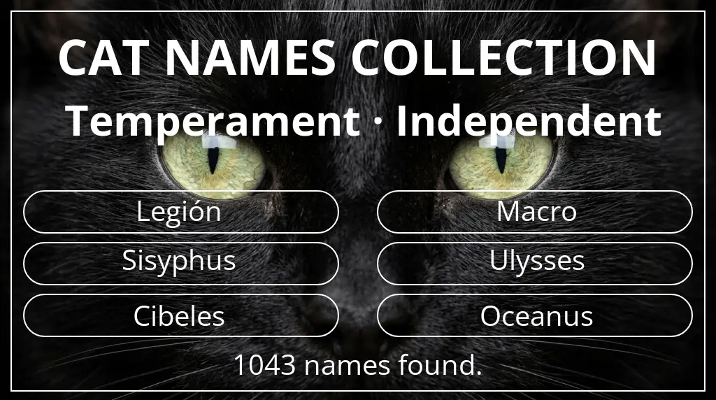 Feline names inspired by independent temperament
