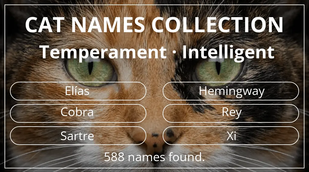 Feline names based on intelligent temperament