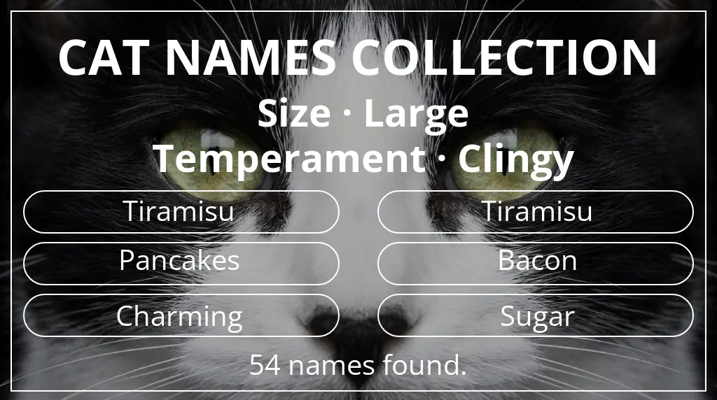 Cat names based on large size and clingy temperament