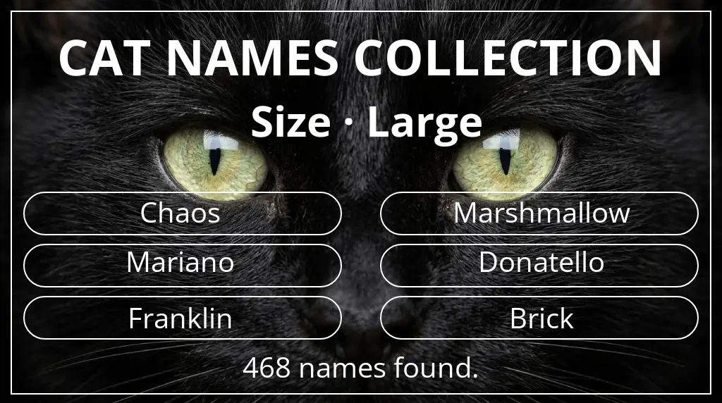 Cat names related to large size