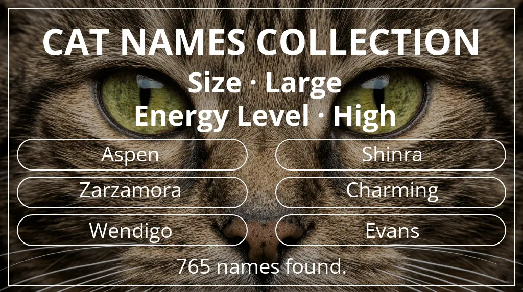 Cat names based on large size and high energy level