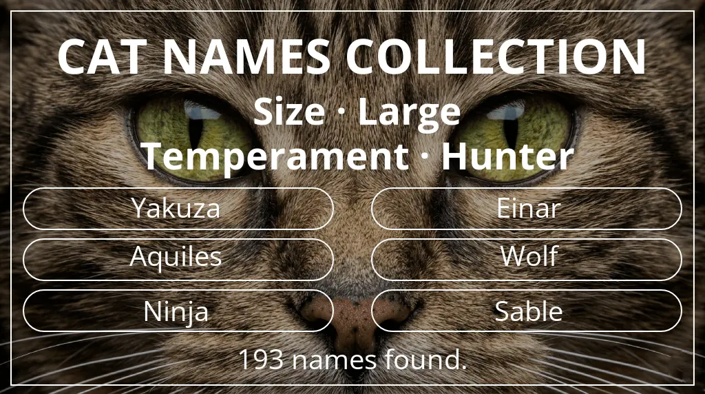 Cat names based on large size and hunter temperament