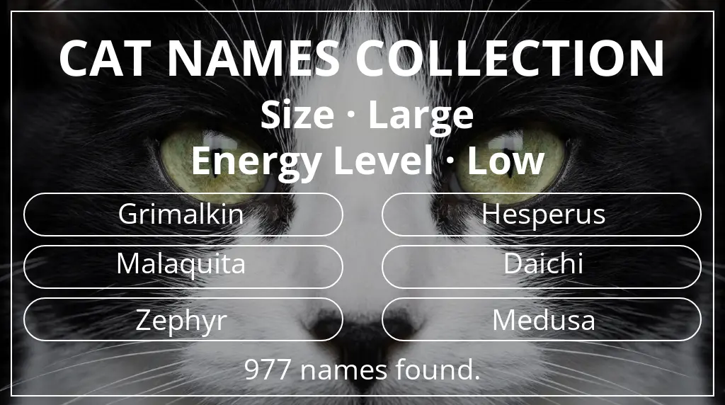 Names for cats related to large size and low energy level