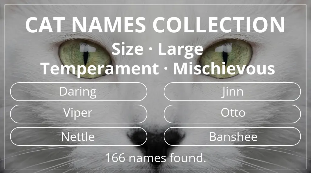 Feline names inspired by large size and mischievous temperament
