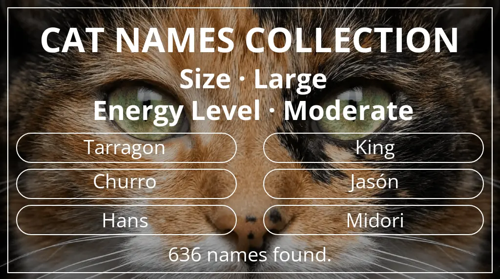 Feline names related to large size and moderate energy level