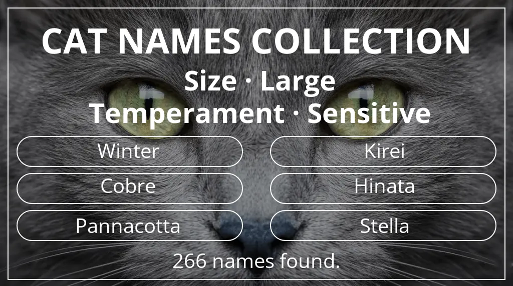 Names for cats related to large size and sensitive temperament
