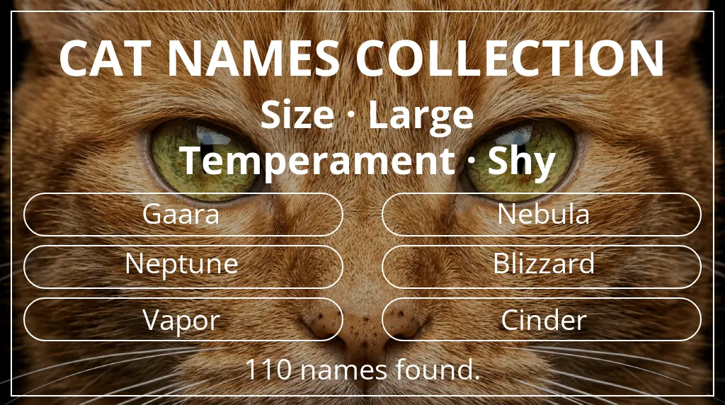 Names for cats inspired by large size and shy temperament
