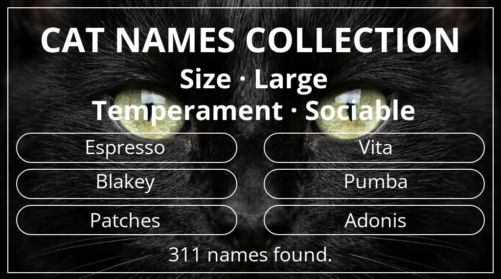 Feline names based on large size and sociable temperament