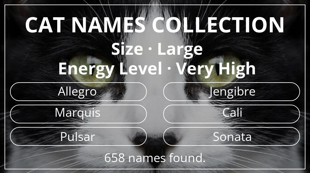 Cat names inspired by large size and very high energy level