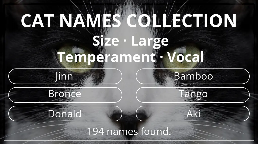 Feline names based on large size and vocal temperament