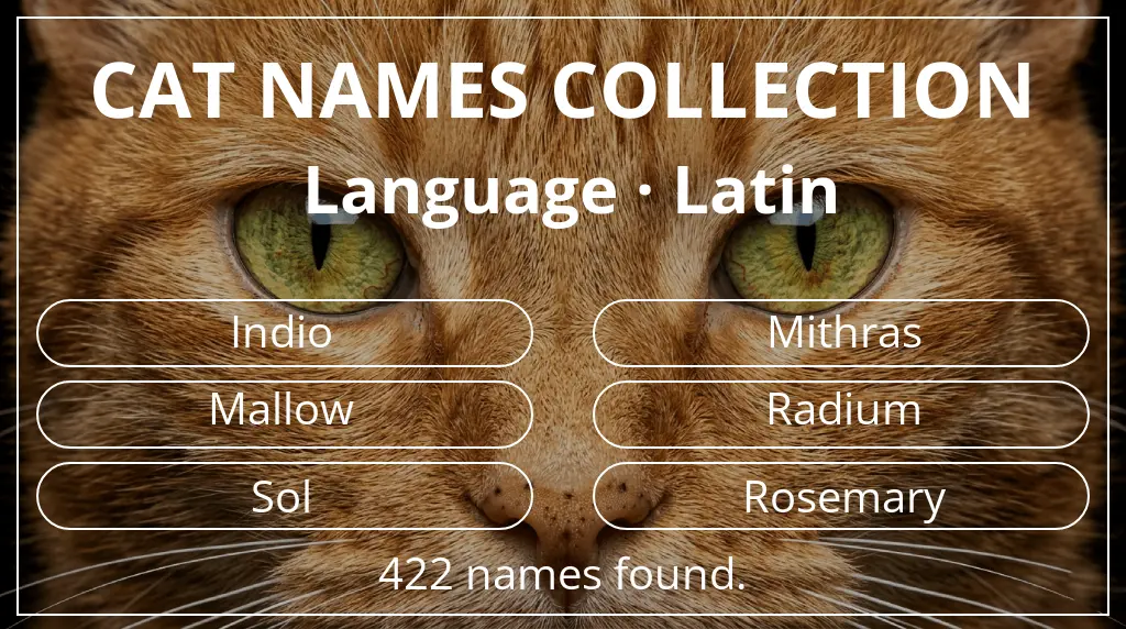 Cat names related to latin language