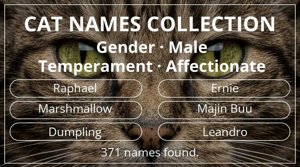 Cat names based on male gender and affectionate temperament