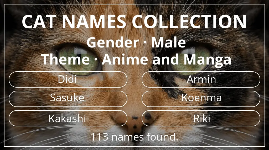 Cat names related to male gender and anime and manga theme