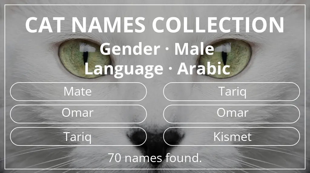 Cat names based on male gender and arabic language