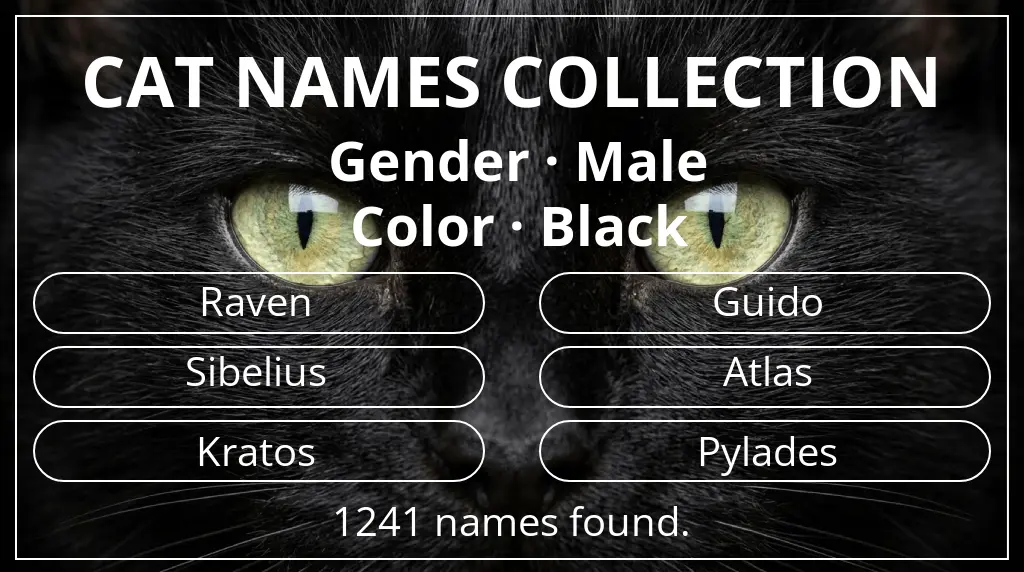Cat names related to male gender and black color