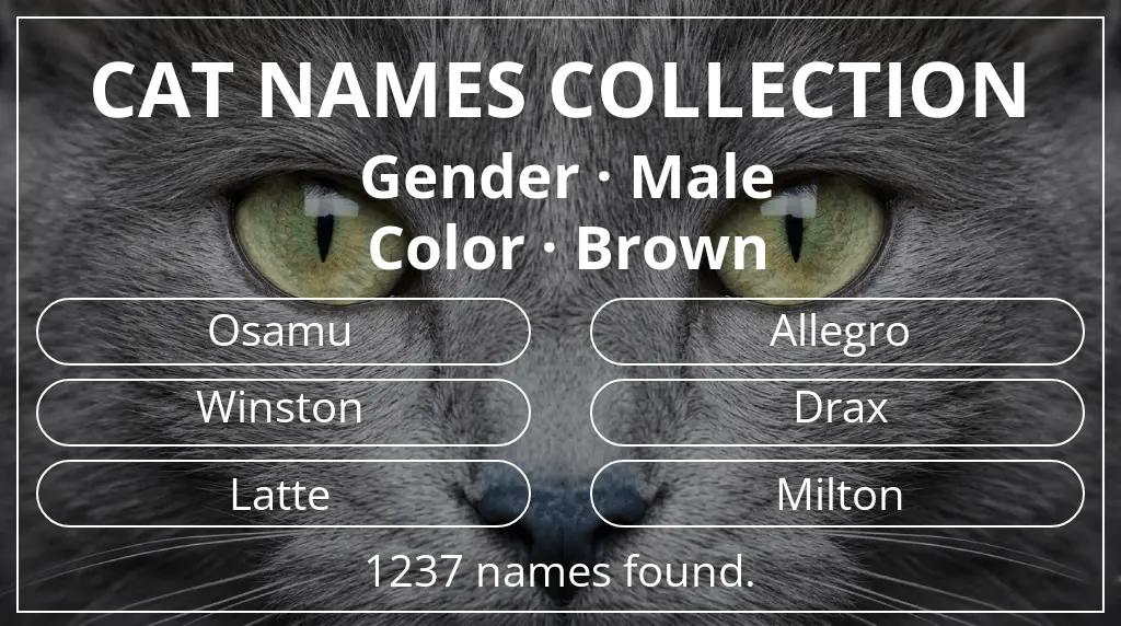 Cat names inspired by male gender and brown color