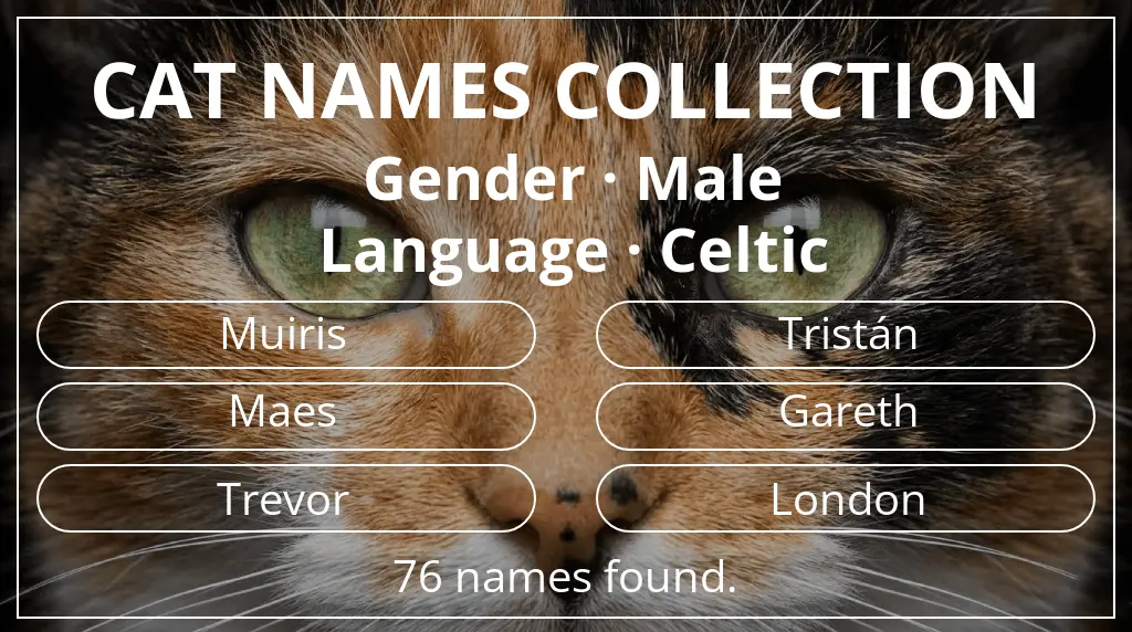 Cat names based on male gender and celtic language
