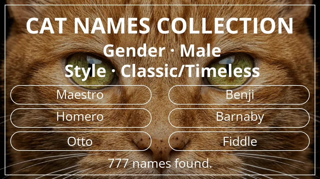 Feline names inspired by male gender and classic/timeless style