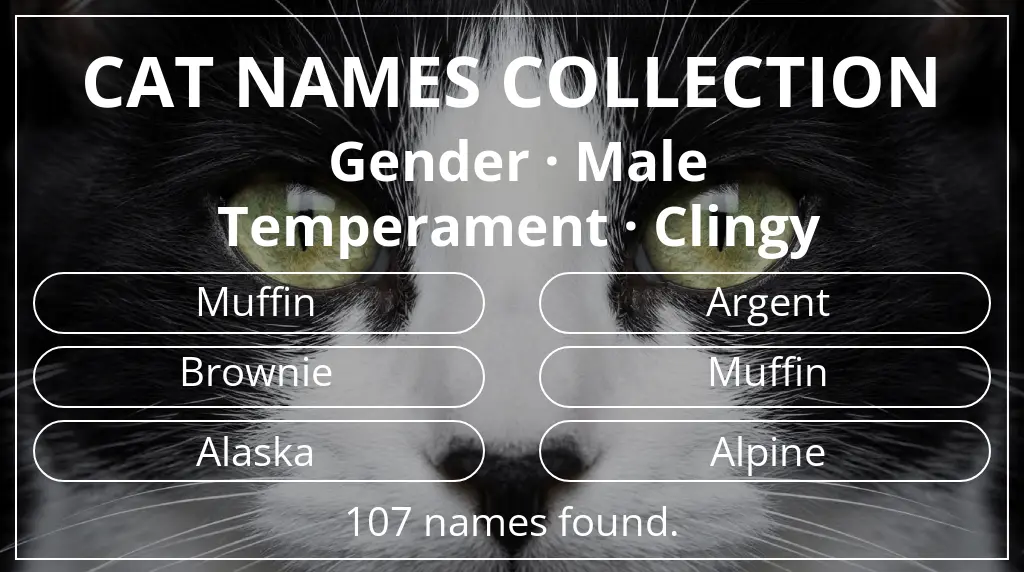 Cat names based on male gender and clingy temperament