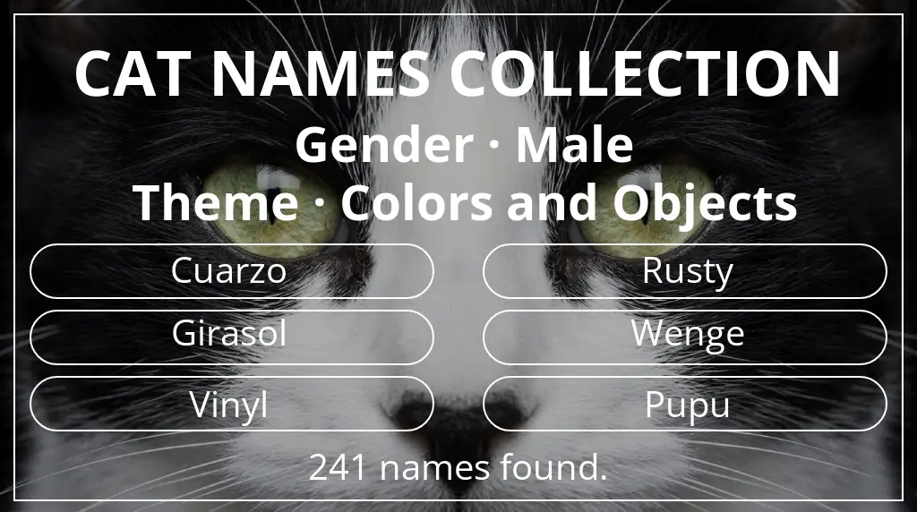 Names for cats related to male gender and colors and objects theme